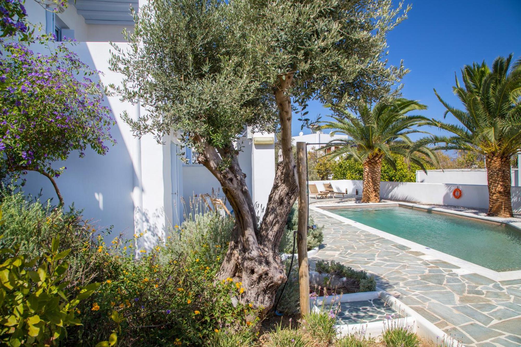 Amphitrite Apartments Skyros Luaran gambar